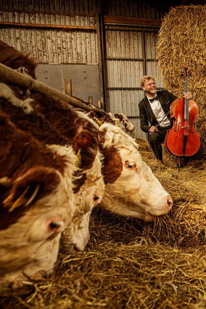 Where Music Grows (2026)