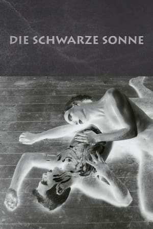 Die schwarze Sonne