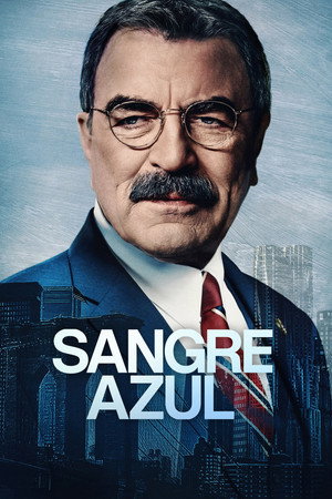 Blue Bloods 173