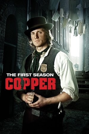 Copper - Justice is brutal: Staffel 1