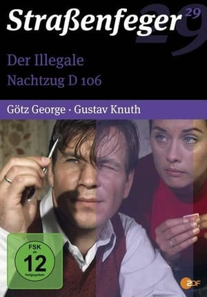 Der Illegale