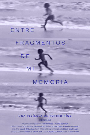 Entre fragmentos de mi memoria