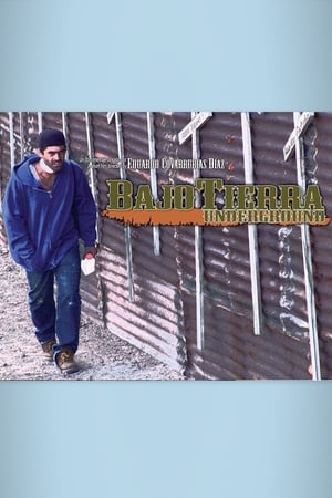 Poster Bajo tierra (2009)