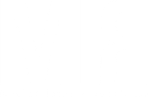 MIR — Logos 2