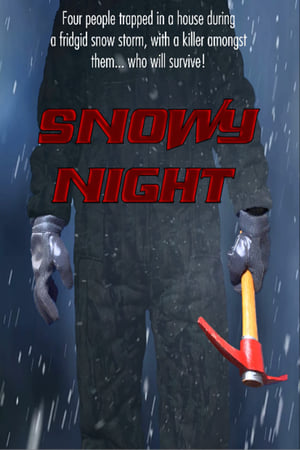 Poster Snowy Night (2021)