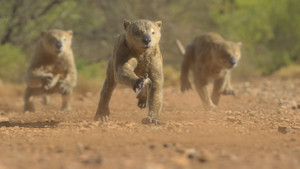 Prehistoric Planet Season 3 Episode 3