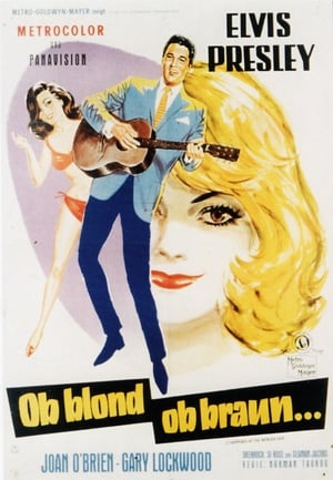 Poster Ob blond, ob braun 1963