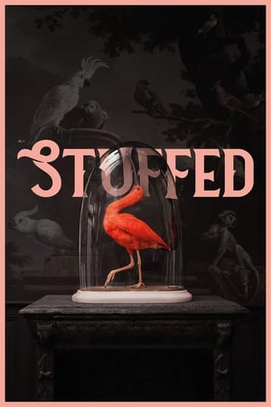 Poster Stuffed 2019