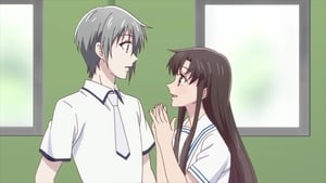 Fruits Basket: 2×13