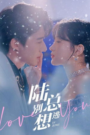 陆总别想逃