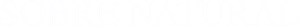 O Nevoeiro — Logos 12