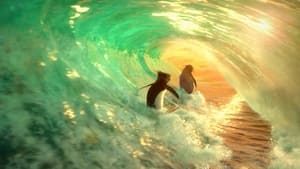 Cu toții la surf! (2007) – Dublat în Română