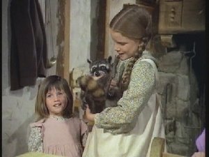 Little House on the Prairie The Raccoon