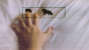 3 Lambs still 5