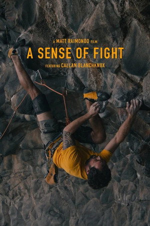A Sense of Fight