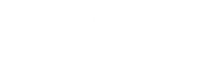 Los fontaneros de la Casa Blanca — Logos 2