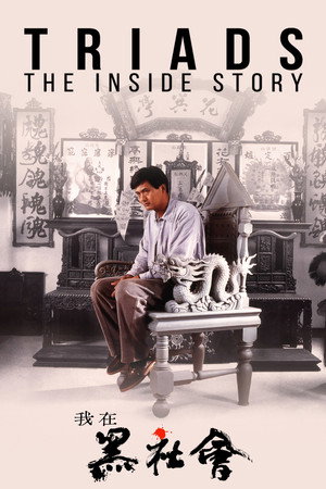 Triads: The Inside Story