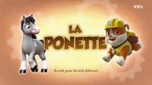 Paw Patrol Helfer auf vier Pfoten: 3×24