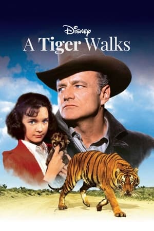 Poster A Tiger Walks 1964