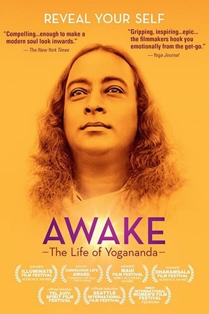 Poster Awake: The Life of Yogananda 2014