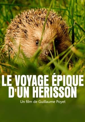 Image Le voyage épique d'un hérisson