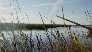 Duck Hunt | The Natural Way
