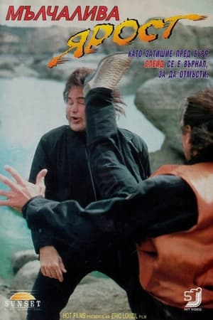 Poster Мълчалива ярост 1994