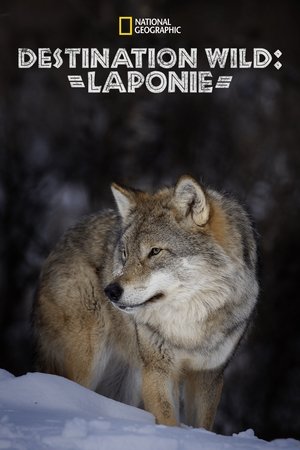 Image Wild Lapland