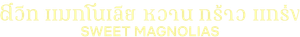 Doces Magnólias — Logos 1