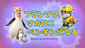フランソワ、マカロニペンギンになる
