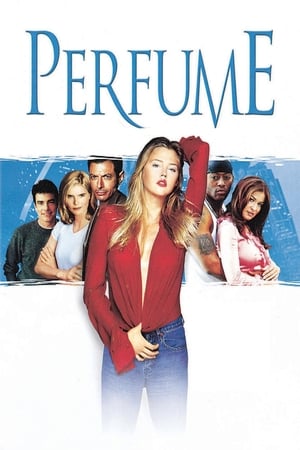 Perfume (2001) | Team Personality Map