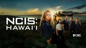 poster NCIS: Hawai'i