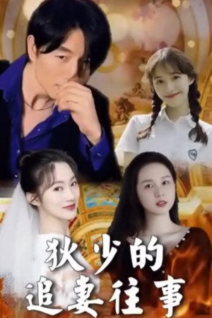 狄少的追妻往事