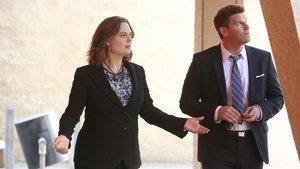 Bones: 11×20