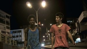 Los hongos