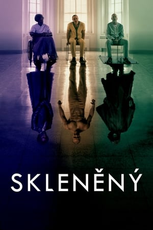 Poster Skleněný 2019