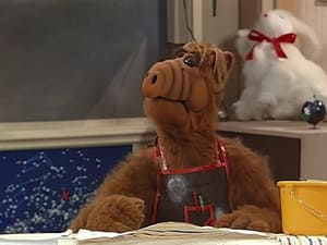 ALF: 1×8