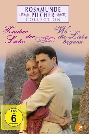 Rosamunde Pilcher: Wo die Liebe begann poster