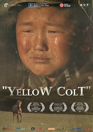 Poster Yellow Colt (2014)