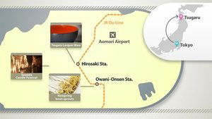 Journeys in Japan: 11×6