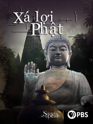 Poster Xá Lợi Phật 2013