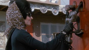 Elvira: Mistress of the Dark movie still 109