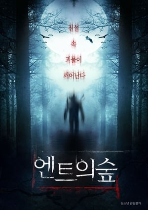 Image 엔트의 숲