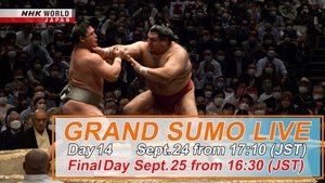 September Tournament Day 14