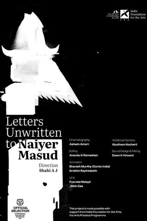 Letters Unwritten to Naiyer Masud