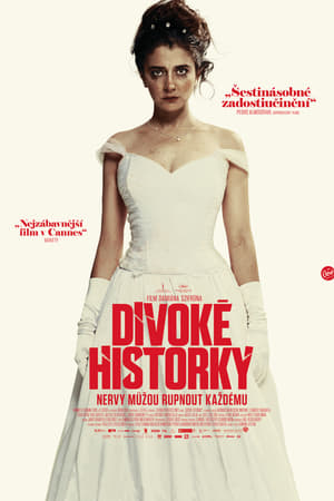 Poster Divoké historky 2014