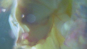 A Correspondence still 1