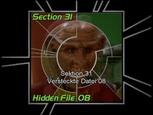 Image Section 31: Hidden File 08 (S05)