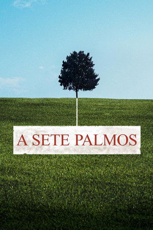 Sete Palmos de Terra: Temporada 2