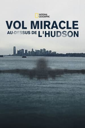 Image Atterrissage miraculeux sur l'Hudson